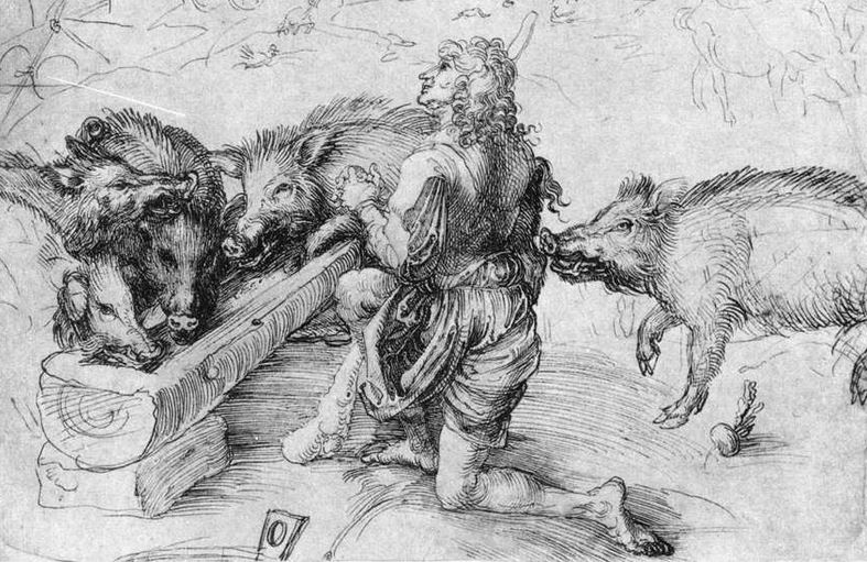 Dürers_Schweine.JPG